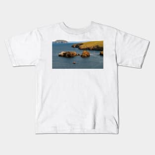 Channel Islands National Park Santa Cruz Island Kids T-Shirt